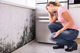 Best HVAC Mold Inspection and Cleaning  in Seagraves, TX